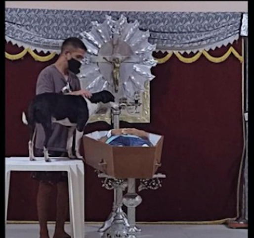 Vídeo mostra cachorro ao lado do caixão do dono em velório no Amazonas