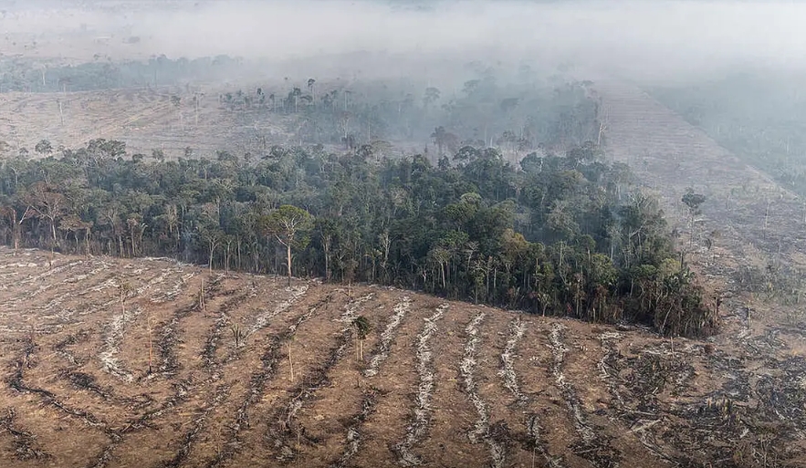 Lábrea e Apuí perdem quase 30 mil campos de futebol para o desmatamento em 1 ano