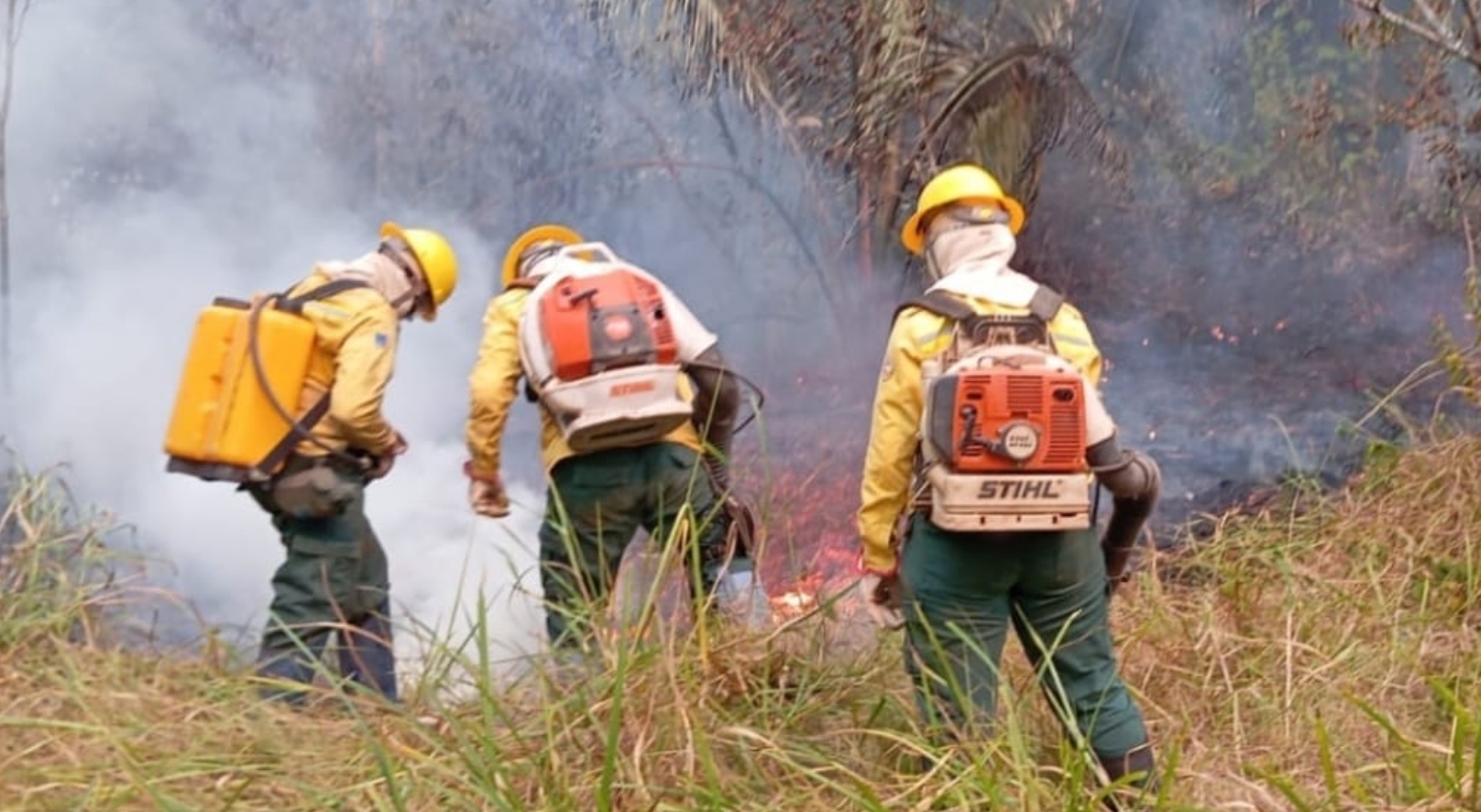 Ibama atua contra queimadas e incêndios no interior do Amazonas