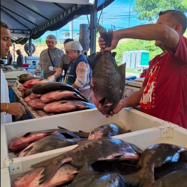 Último dia do Feirão do Pescado acontece nesta sexta em Manaus; saiba locais