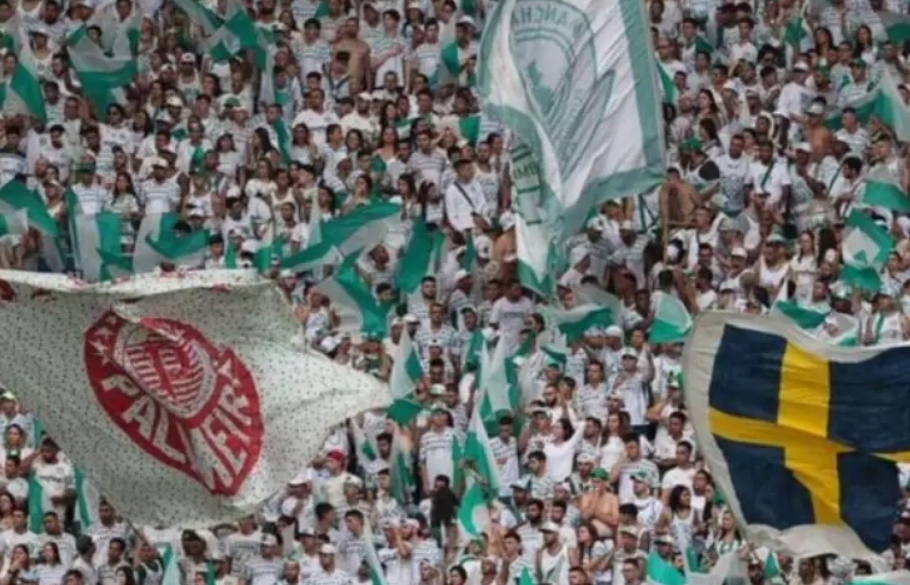 Palmeiras se posiciona após ser denunciado pelo São Paulo por homofobia; entenda