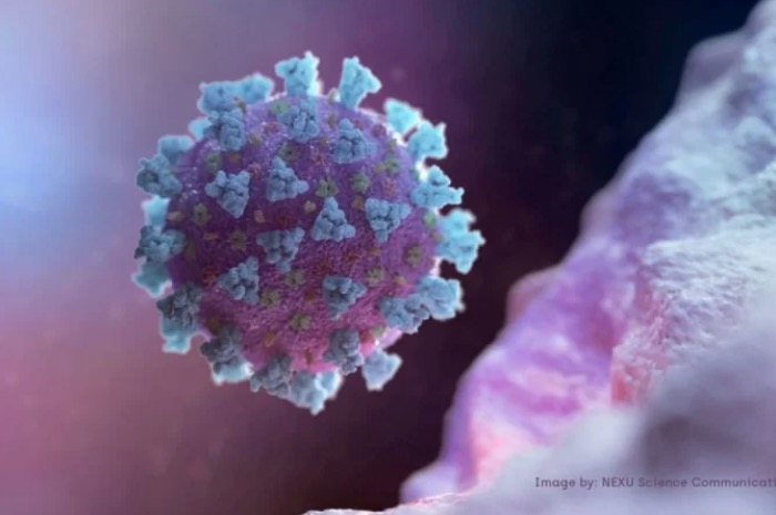 Variante britânica da Covid-19 é detectada no DF, aponta Fiocruz