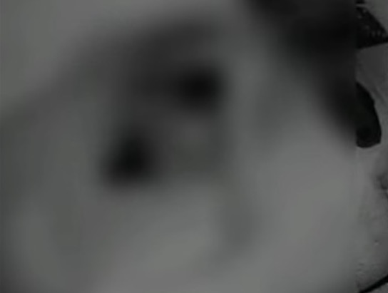 Vídeo: Pastor vai orar na casa de fiel, estupra mulher e culpa diabo