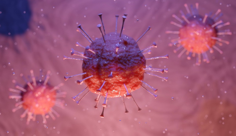 Amazonas usa Europa como parâmetro para 3ª onda da Covid-19 