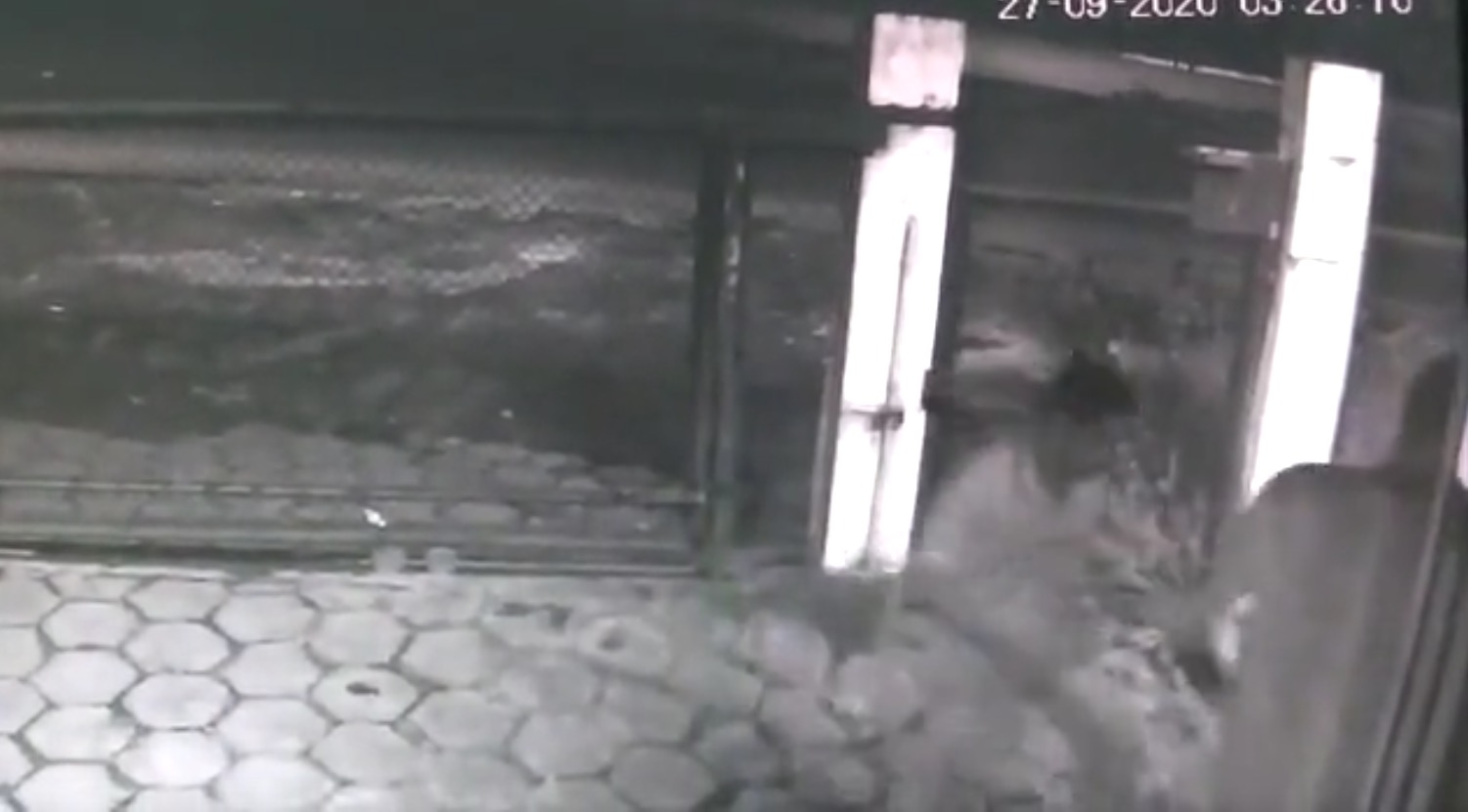 Polícia divulga vídeo de assalto a empresa de embalagens em Manaus 