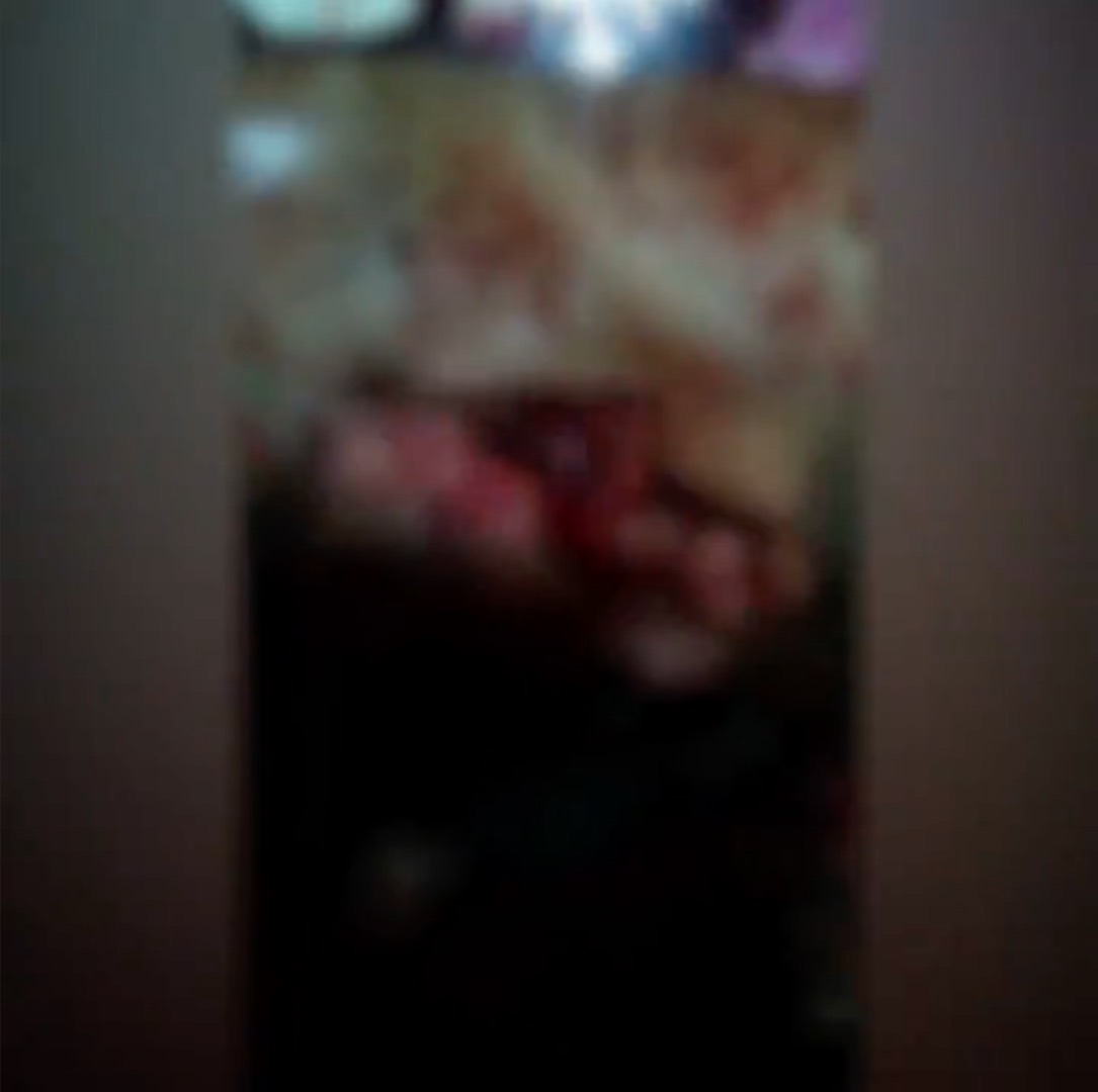 Vídeo mostra momento em que homem arranca vísceras de desafeto em Manaus