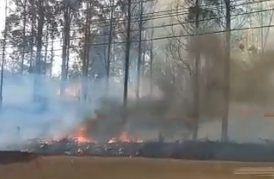 Avião caiu em área de mata no interior de São Paulo; Vídeo 