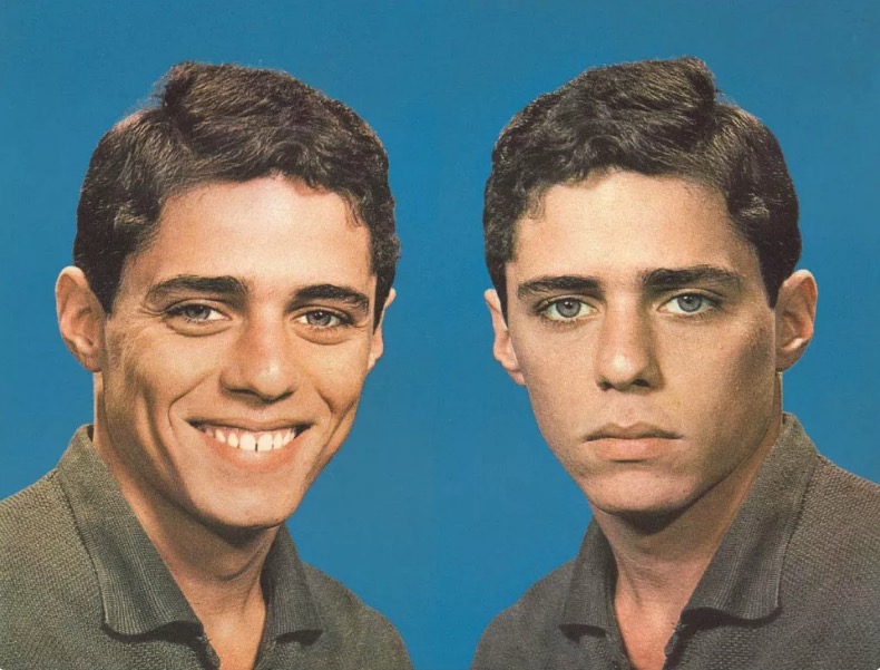 Chico Buarque ganha processo contra empresa que publicou meme com seu rosto