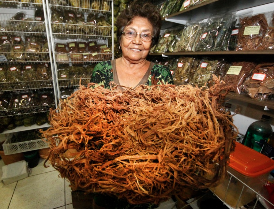 Uxi amarelo e unha de gato são poderosos contra cistos e endometriose