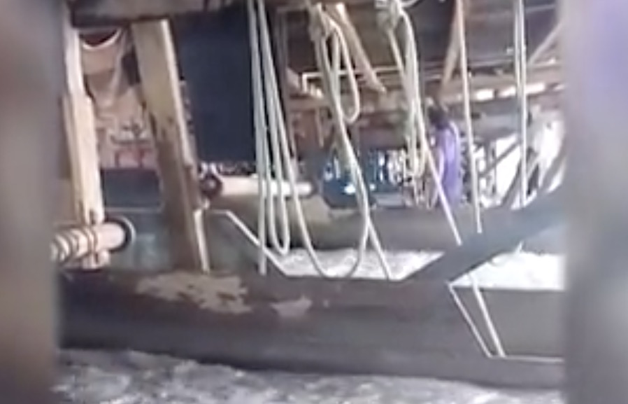 Garimpeiros postam vídeo de extração ilegal no rio Madeira; Mourão se manifesta