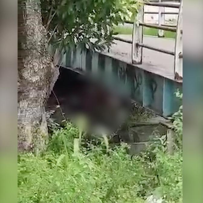 Casal é flagrado fazendo sexo embaixo de ponte em Manaus; vídeo