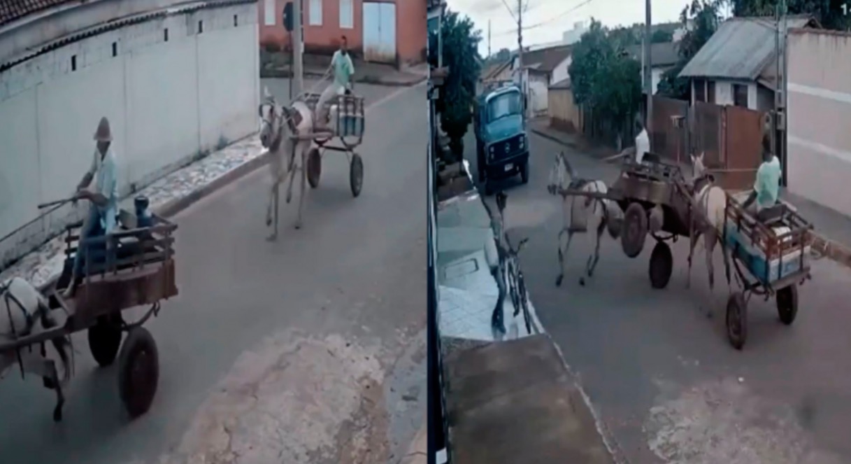 Carroça com cavalo desgovernado atropela carroceiro e deixa idoso ferido; vídeo