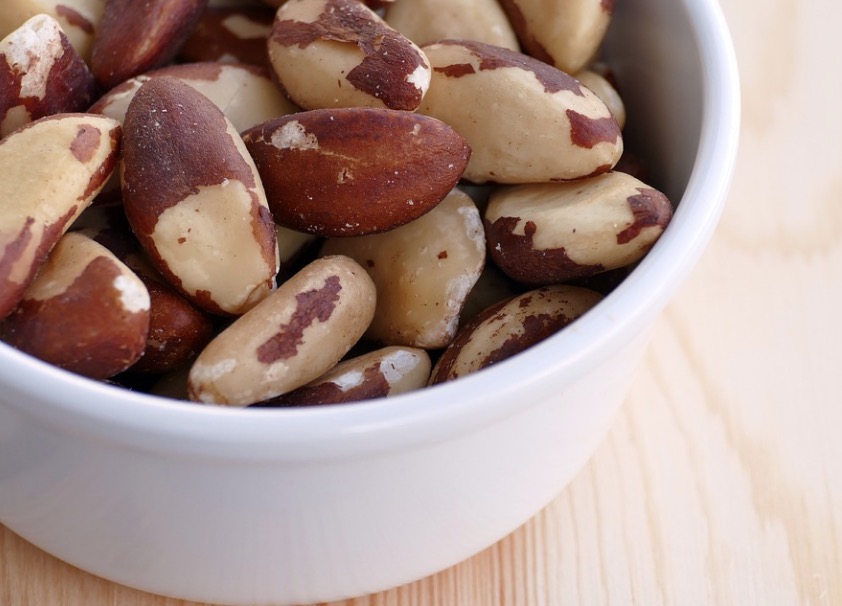 Inscrições em projeto sobre cadeia produtiva de Castanha-do-Brasil estão abertas