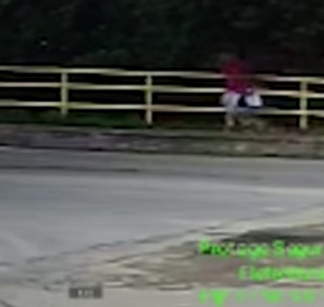 Vídeo mostra pai com filha de 6 anos antes de jogá-la no rio 