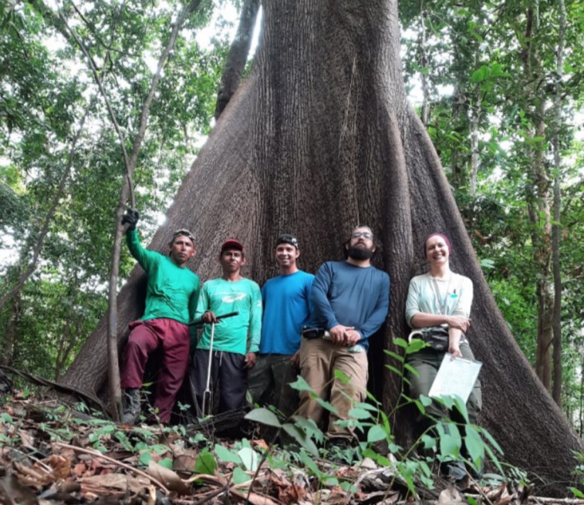 Extração sustentável de óleos essenciais é alvo de estudos na Reserva de Mamirauá