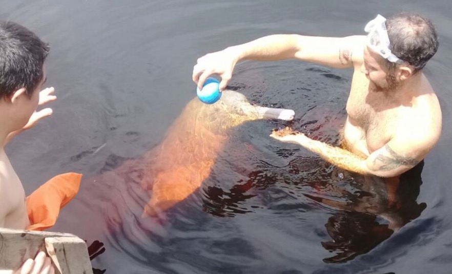 Projeto de Bototerapia precisa de apoiadores para ajudar crianças de abrigo em Manaus