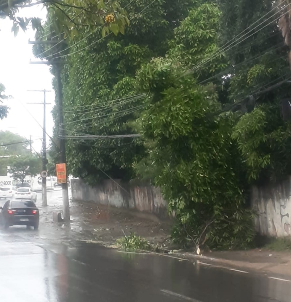 Fios de alta tensão caem e expõe pedestres a risco de choque em Manaus
