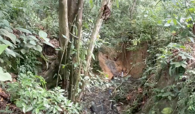 Corpo é encontrado seminu com os olhos vendados em área de mata em Manaus 