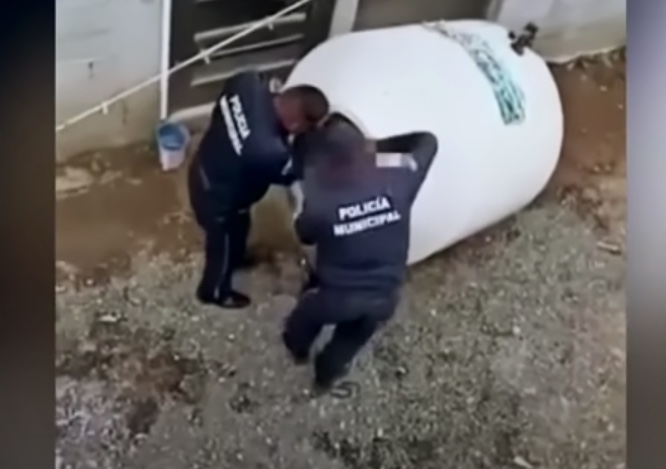 Criança de 3 anos é trancada em tanque pelos pais e motivo choca  