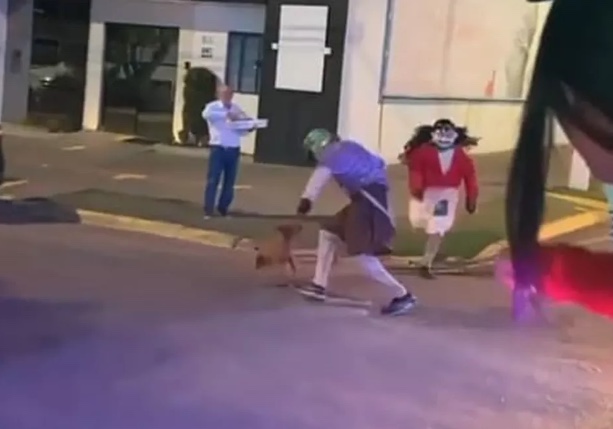 Vira-lata caramelo rouba a cena ao tentar morder Chaves da Carreta Furacão