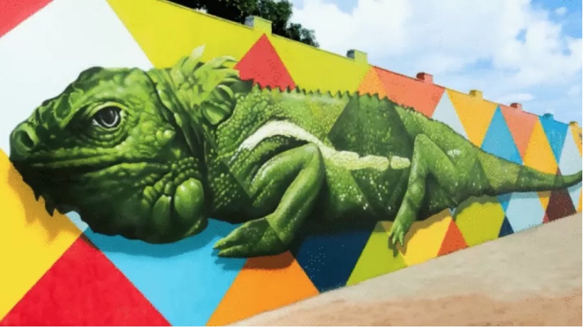 Eduardo Kobra se defende após ser alvo da polícia por fraude em mural em Boa Vista