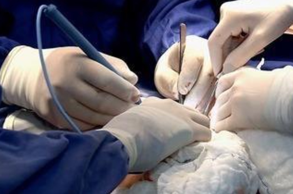 Plano de saúde é obrigado a fazer cirurgia de mudança de sexo em mulher trans