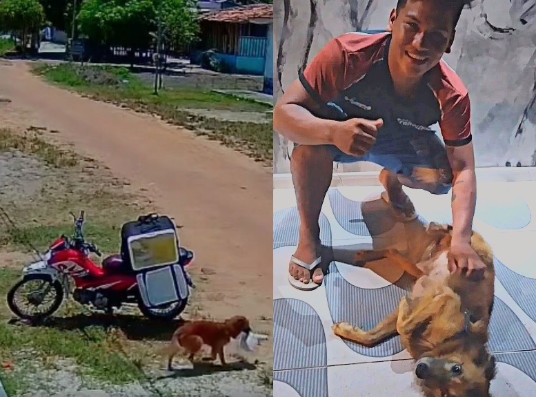 Vira-lata Caramelo dá 'olé' em entregador e viraliza ao roubar marmita; vídeo