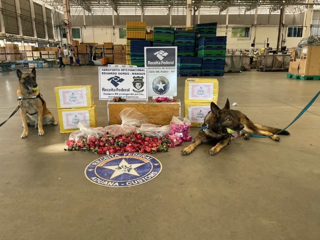 Receita apreende 15,25 kg de drogas escondidas em trufas de chocolate em Manaus