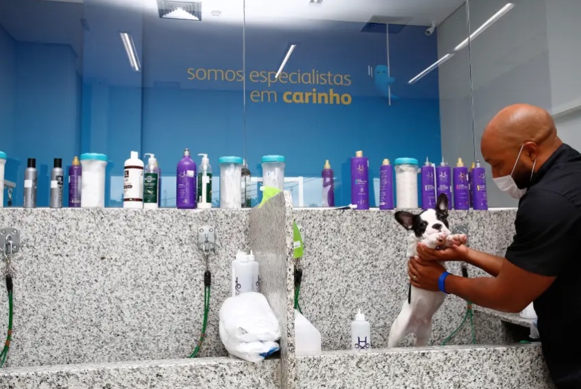 Pet Shop não precisa de inscrição em conselho se não exerce medicina veterinária