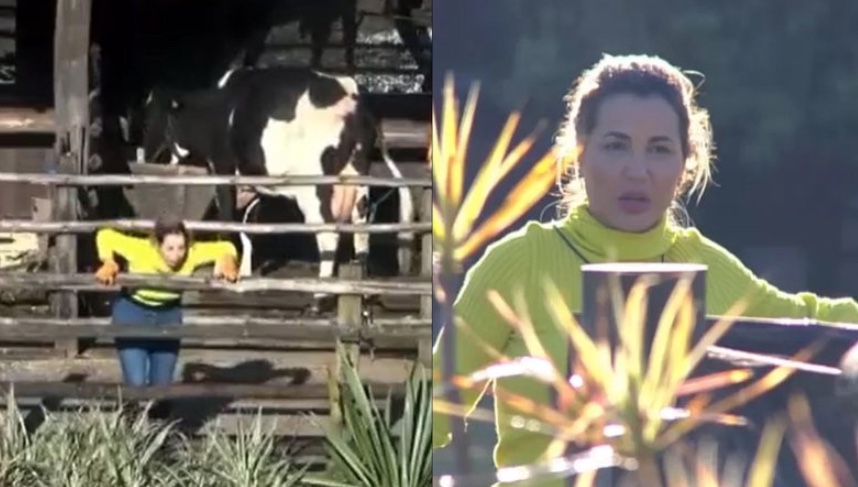 A Fazenda: Deolane passa mal ao ver ‘chuva de cocô’ de vaca