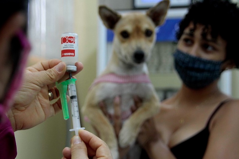 Manaus contabiliza mais de 5 mil atendimentos para controle da raiva humana