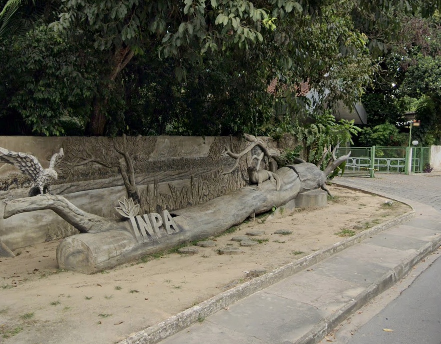 Inscrições para doutorado em ciências florestais pelo INPA encerram nesta sexta