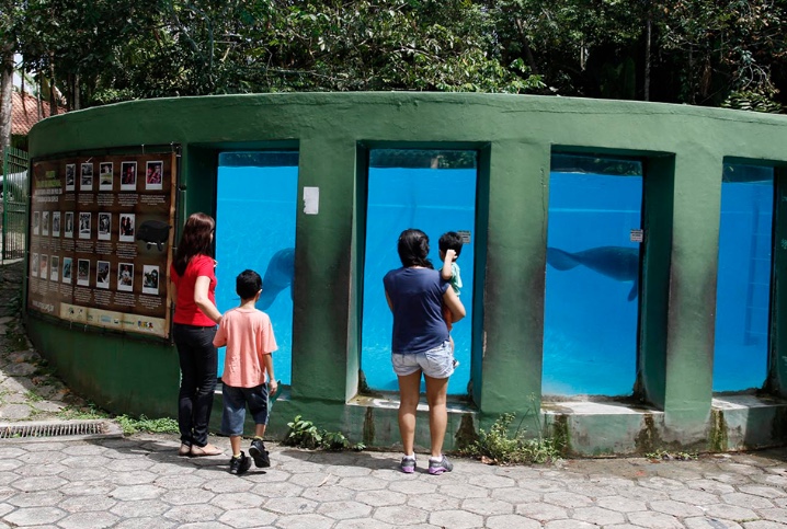 Veja horário de visitação ao Inpa, aberto nesta Semana das Crianças em Manaus