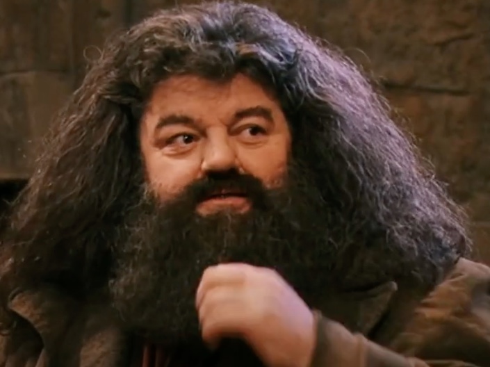 Robbie Coltrane, o Hagrid de 'Harry Potter', morre aos 72 anos 