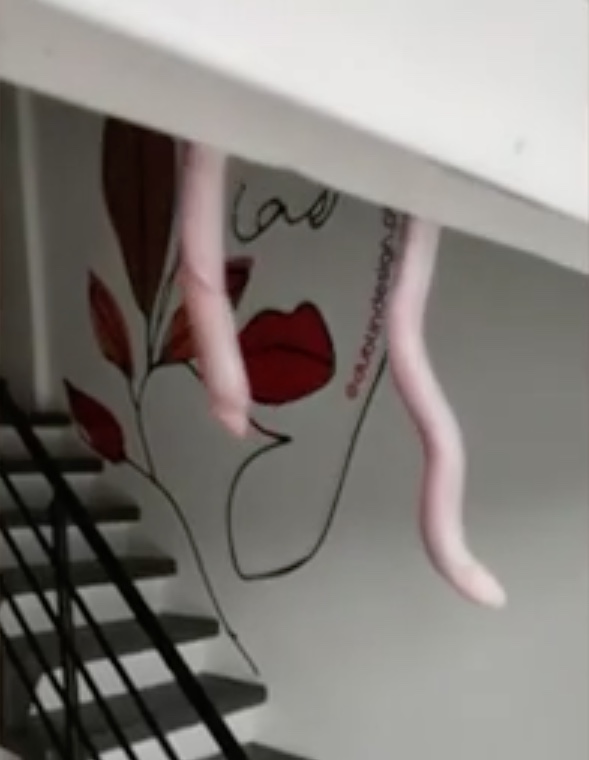 Comerciante se assusta com cobra-de-duas-cabeças após confundi-la com corda; vídeo