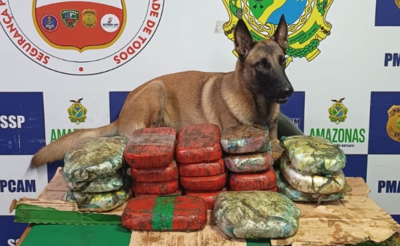 Cão policial encontra mais de 20 quilos de drogas em embarcação no Amazonas