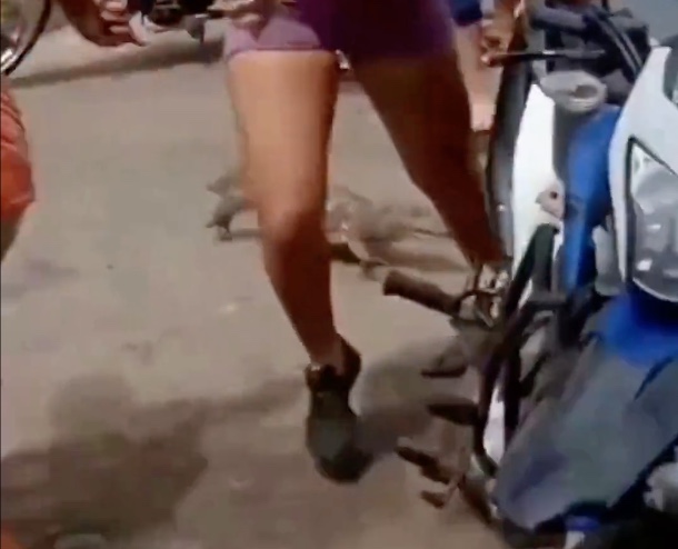 Jacaré corre atrás de curiosos que o cercavam em frente de pizzaria; vídeo