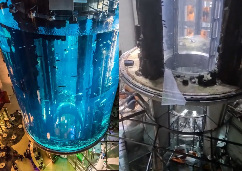 Vídeo: Aquário gigante explode, deixa feridos e 1,5 mil peixes espalhados por avenida