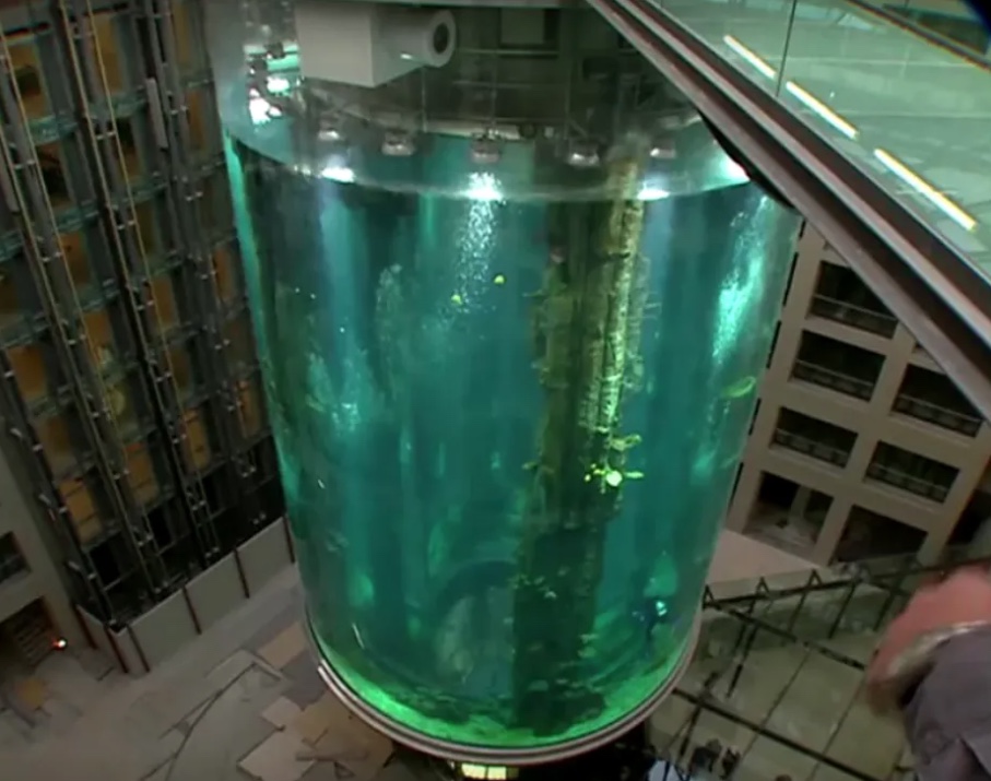 Todos os peixes que estavam no aquário gigante morreram, dizem autoridades de Berlim