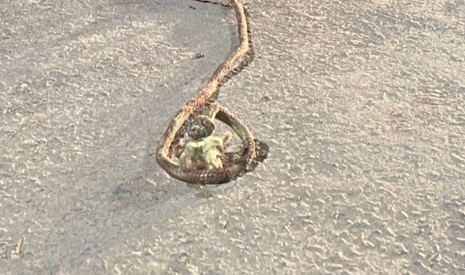 Com corda no pescoço, homem é salvo por população em ramal de Manaus