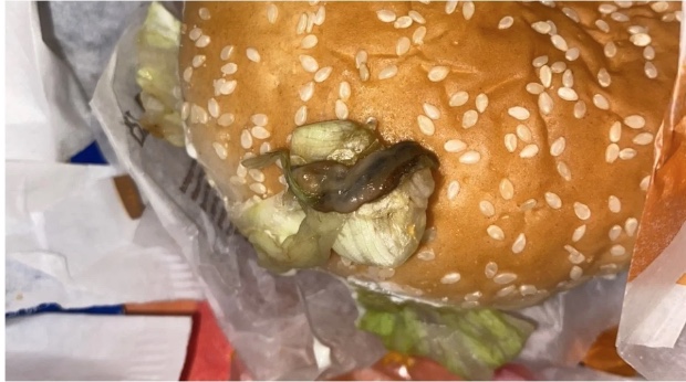 Cliente paga R$ 97 em lanche do Burger King e sanduíche vem com lesma