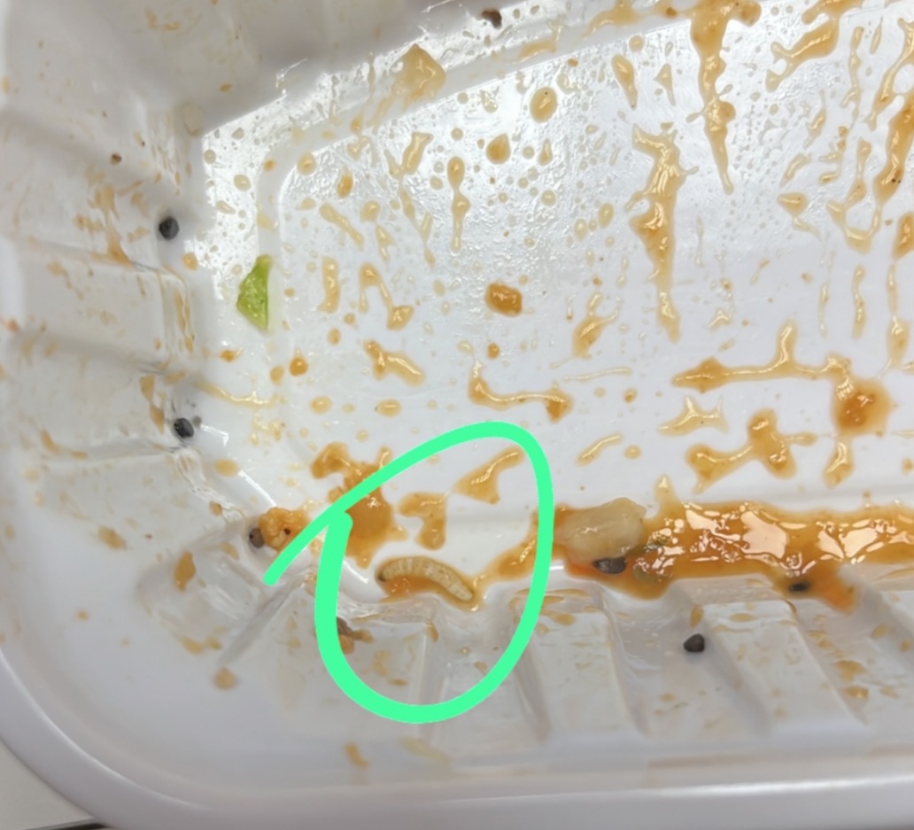 TCE Amazonas rescinde contrato com empresa que serviu comida contaminada