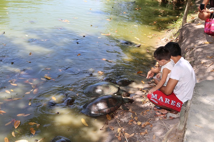 Bosque da Ciência já recebeu 3 mil pessoas neste início de ano; veja como agendar visita