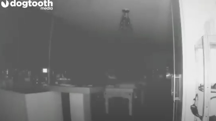 Vídeo: Casal diz ter flagrado fantasma passeando com cachorro dentro de casa