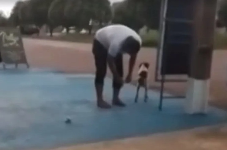 Vídeo: Vereador é flagrado colocando bombinha em rabo de cachorro