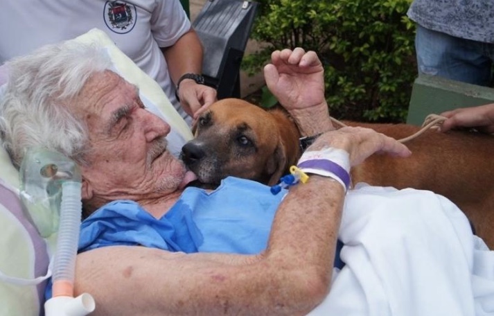 Deputado quer que animais possam ser liberados para visitar pacientes em hospitais