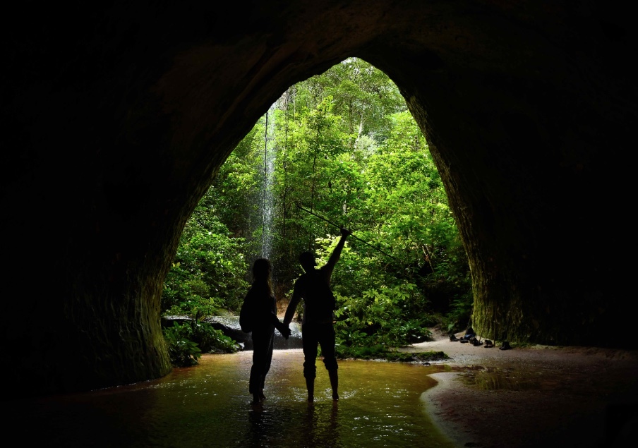 Dia Mundial do Ecoturismo: Veja ações de turismo no meio ambiente no Amazonas