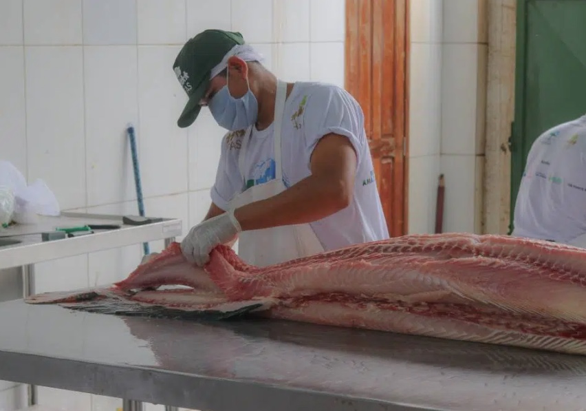 Feira da FAS terá pirarucu com cortes a partir de R$ 7 em Manaus