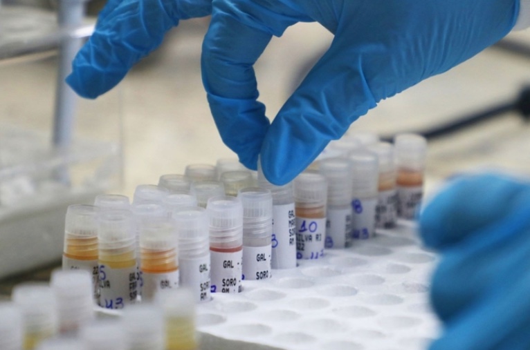 Campanha contra varíola dos macacos começa dia 13; saiba quem poderá se vacinar