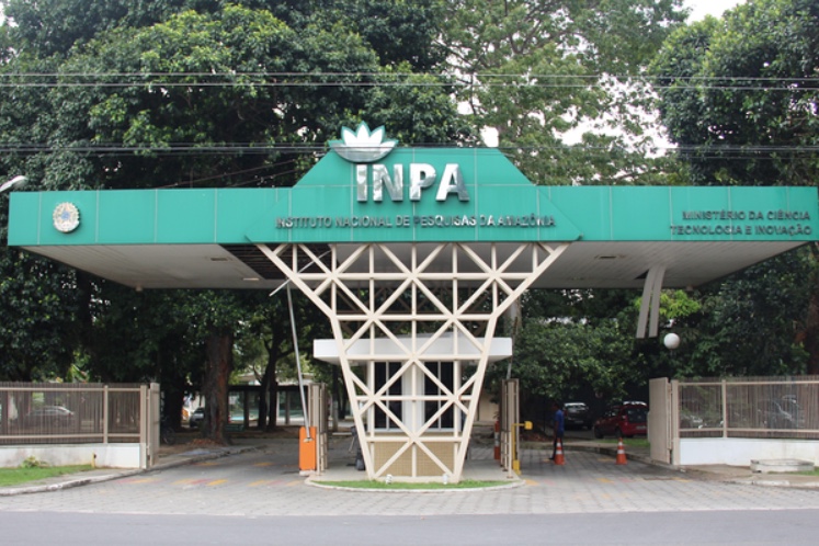 Inpa abre seleções para bolsas em Iniciação Científica e em Desenvolvimento Tecnológico